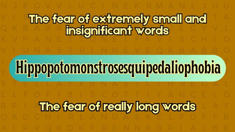 Weird Words Top or Bottom Definition Edition